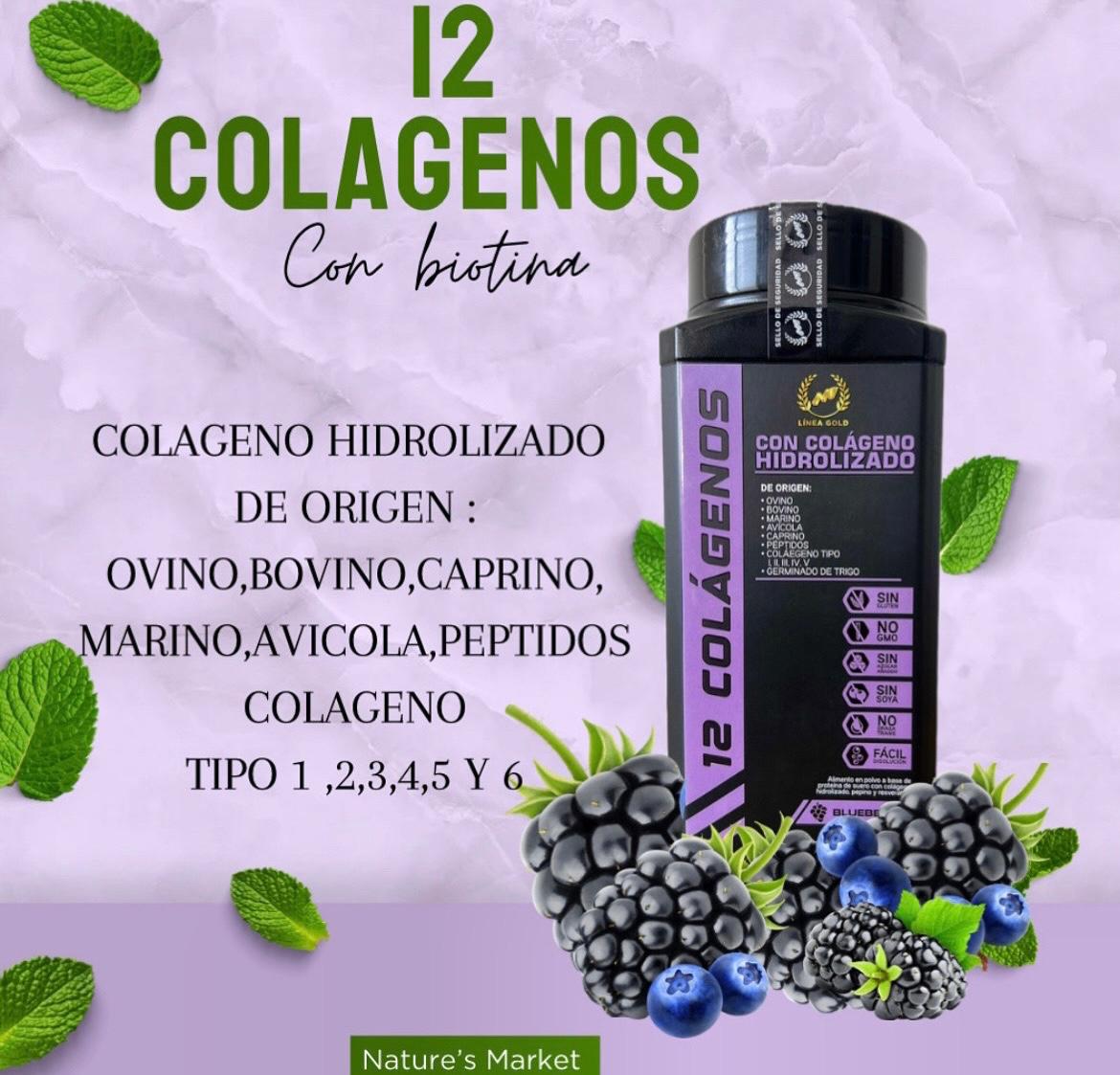 12 COLÁGENOS COLVANCE®